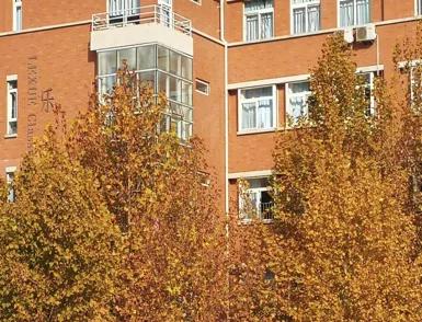 天津高级中学,天津市第二南开中学录取分数线