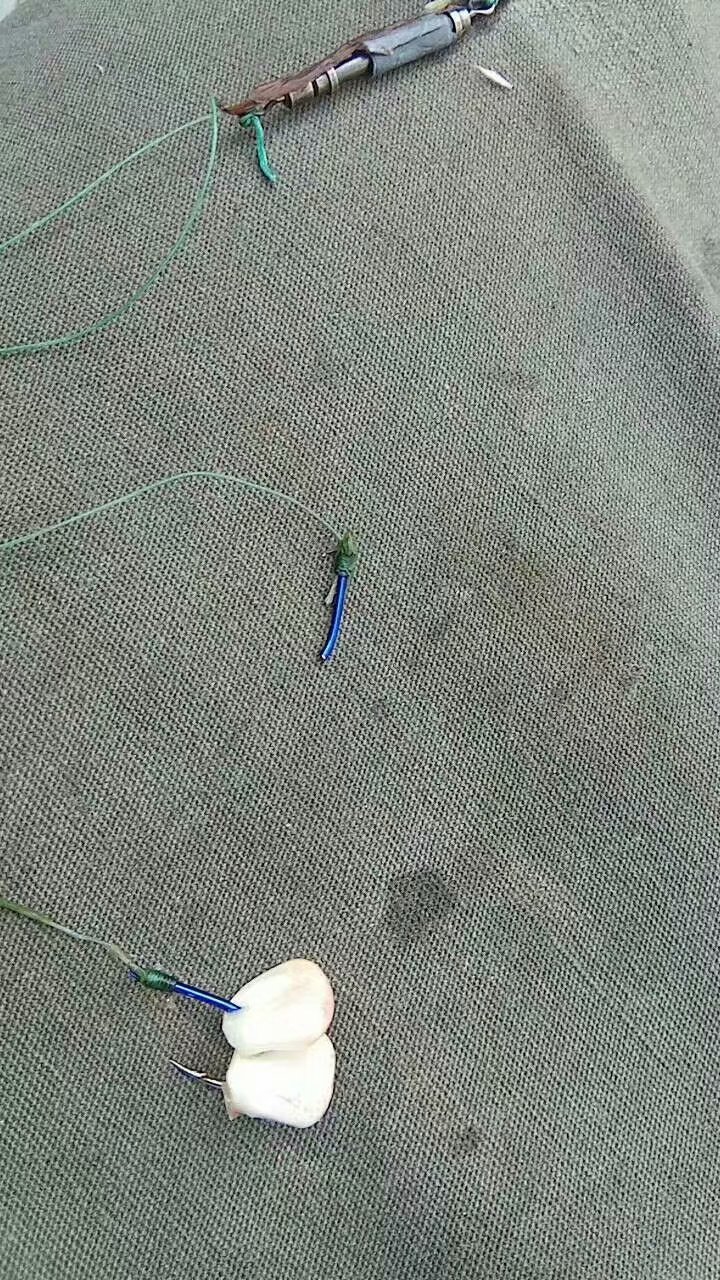 晚春下雨钓鲤鱼钓深还是钓浅,晚春水库钓鲤鱼最佳位置图