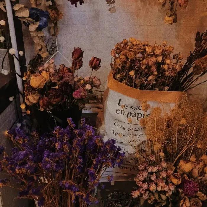 宇航员动态壁纸高清全屏120帧竖屏,太空壁纸高清4k宇航员火箭卡通