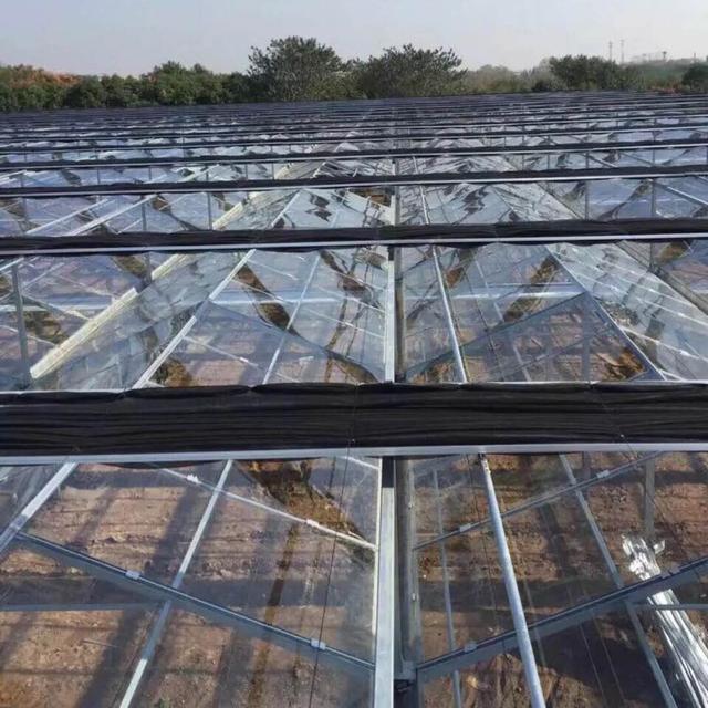 智能玻璃温室大棚一平方要多少钱,草莓连栋玻璃大棚造价多少钱一平