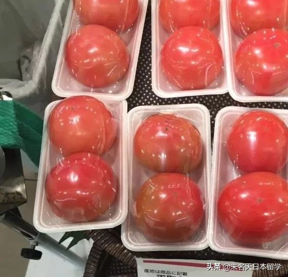 日本人常吃的便当到底是什么东东?