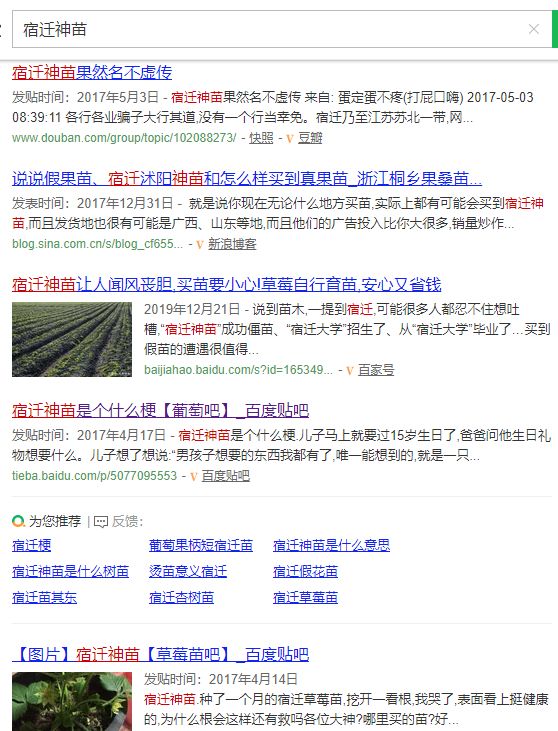 淘宝网店的宿迁神苗,宿迁神苗什么意思