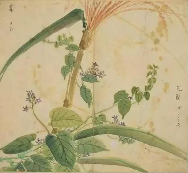 惊艳千年的古诗词合集,五千年来最美的20首诗