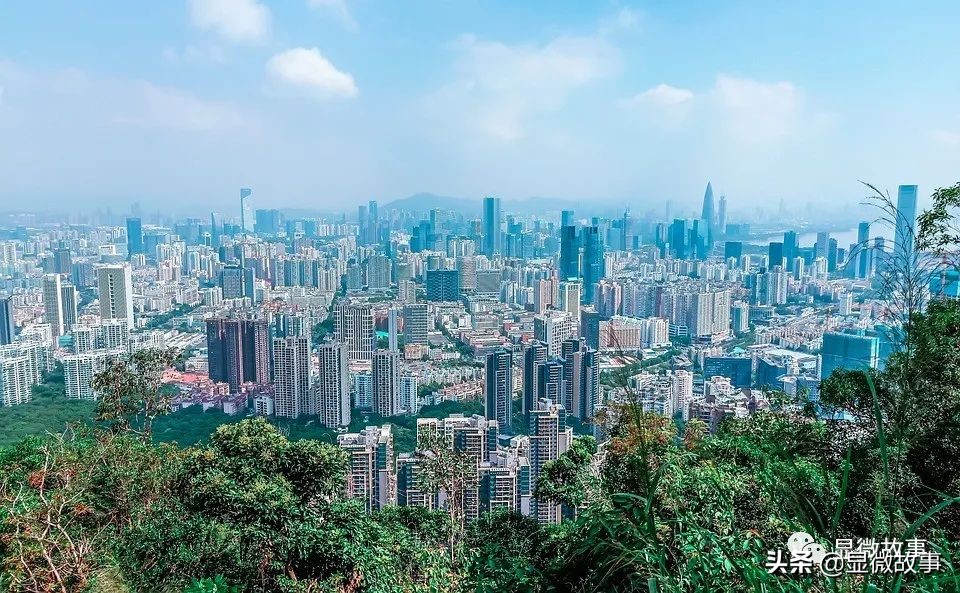 炒房团攻陷小城市全集,炒房团攻陷小城市完整版