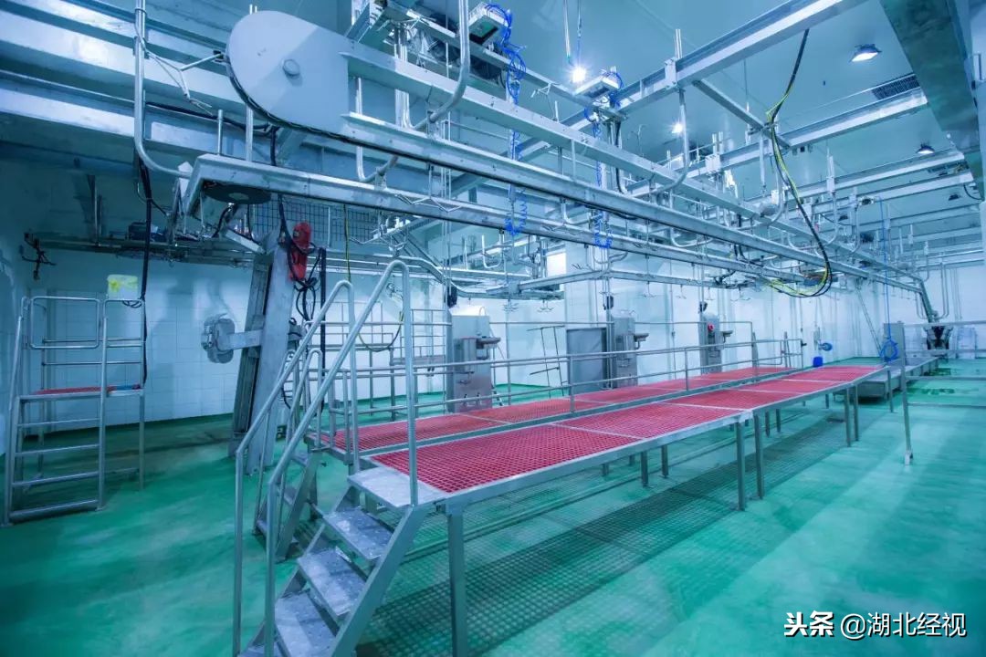 为了回报湖北人，这个身价8万的*疆新**特产给出亲情价，手慢无！