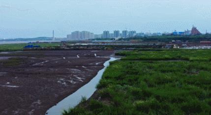 青岛国家海洋公园免费,海洋公园青岛最新