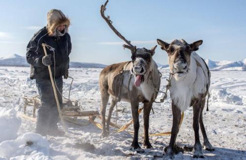100张蒙古图片,带你看真实的俄罗斯