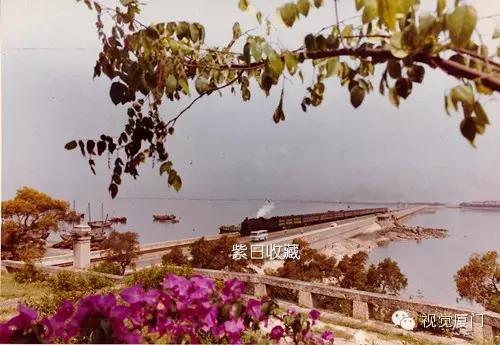 再见，免税商场！1988年开业，厦门最古老高端百货正式谢幕！