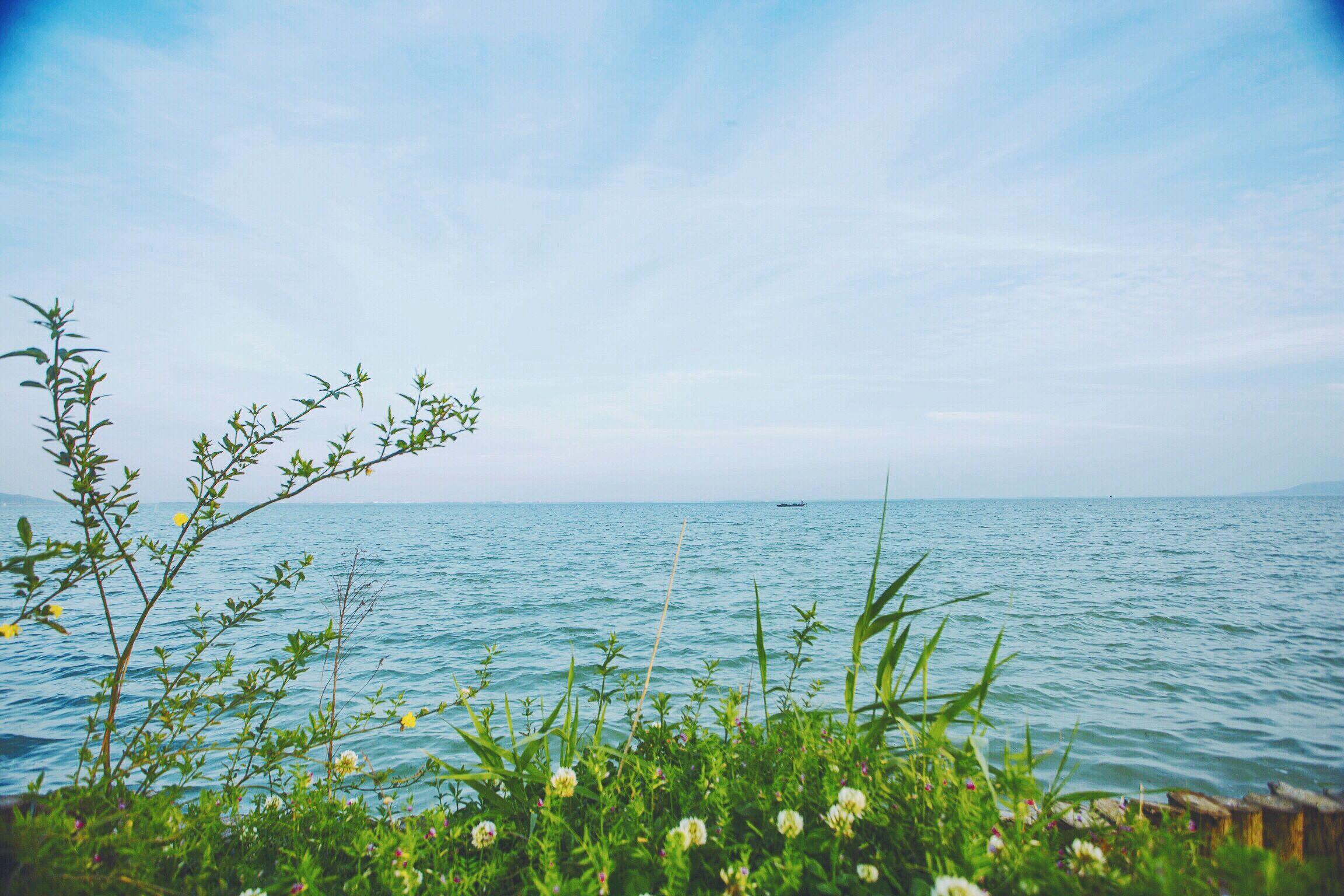广东省最大淡水湖泊排名,广东省内的湖泊名