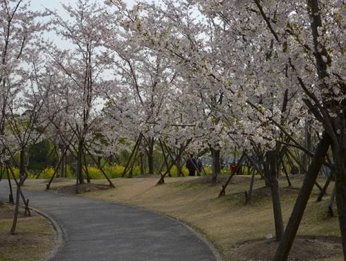 上海16区介绍有闸北吗,上海16个区高清地图