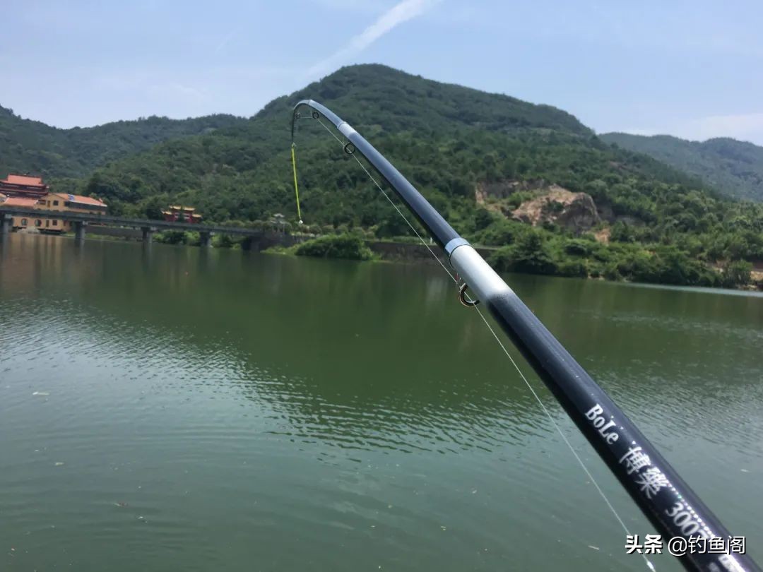 钓海竿铃铛一响就提竿吗,为什么海竿钓底铃铛不响