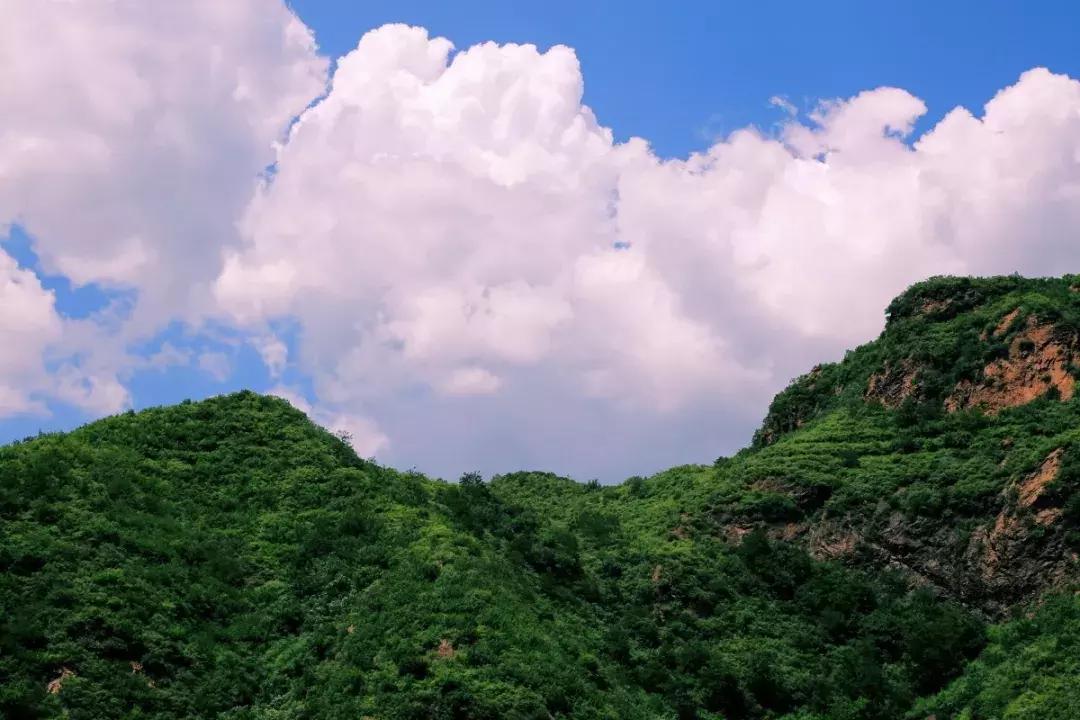 清明去哪儿玩|盘点那些值得打卡的北京周边小众景点！