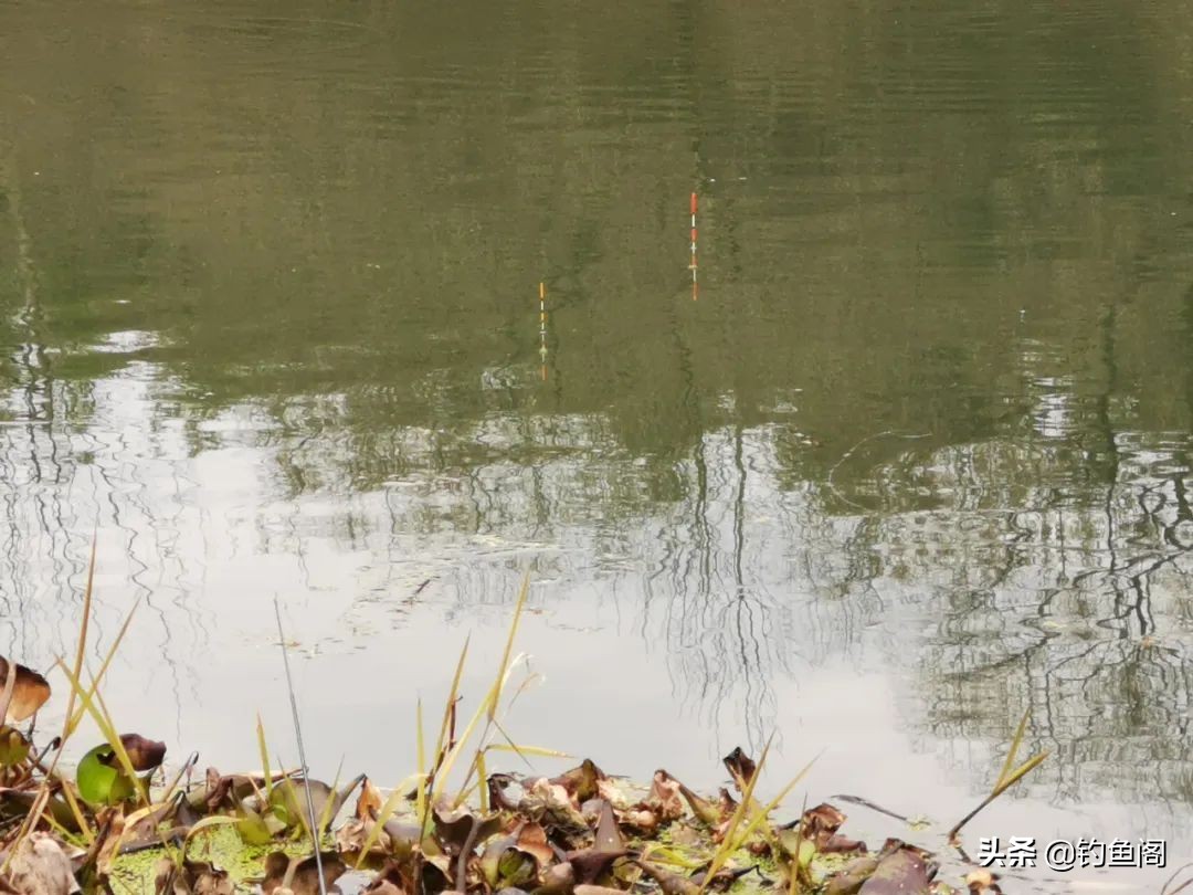 鱼获不重要关键是什么,影响鱼获的2个关键