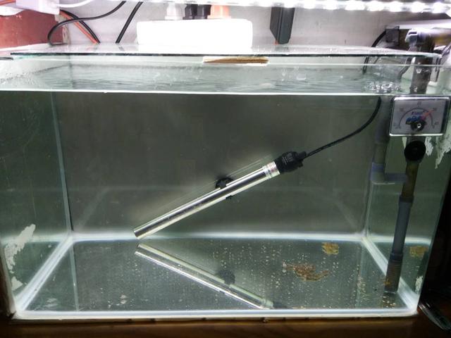 鱼缸出现大量小气泡,鱼缸里出现气泡是什么原因