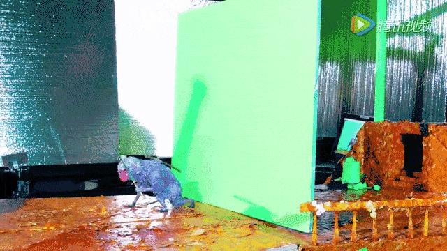 他放弃亿万家产全文免费阅读,他放弃亿万家产小说