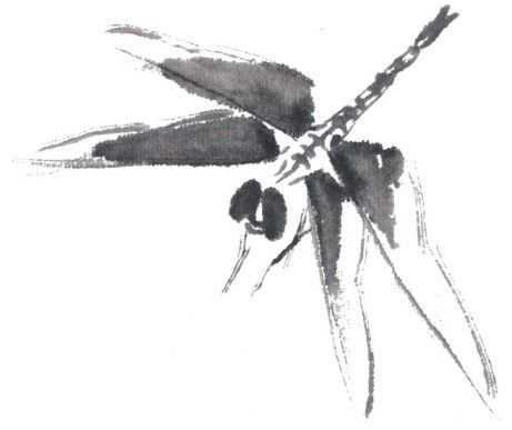 残荷蜻蜓国画画法及调色,徐湛国画蜻蜓的画法