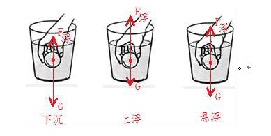物理力与运动知识点及检测题pdf,物理运动和力综合试题
