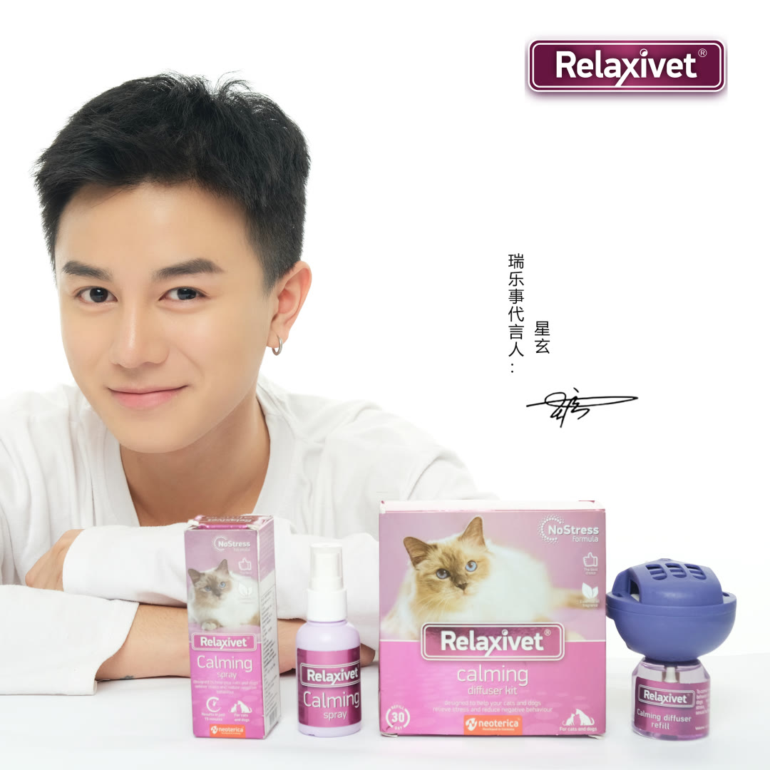 猫咪便秘大便带血,猫咪拉不出屎怎么快速解决