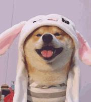 微信聊天如何生成表情包,微信隐藏表情包聊天玩法