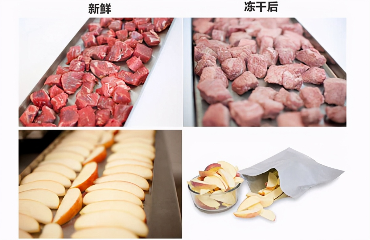 真空干燥设备中的真空泵的选择,真空冷冻干燥真空泵怎么用