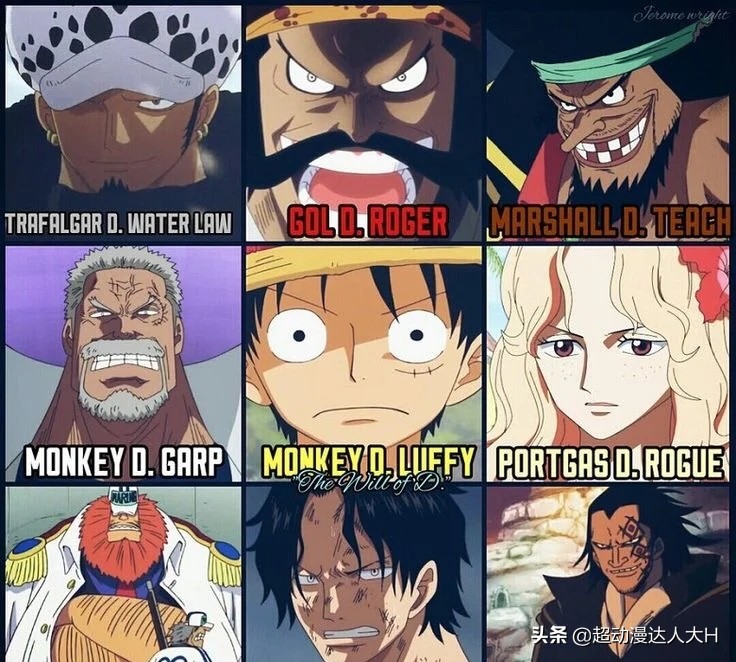 海贼王中d之一族的秘密,海贼王中D之一族的含义