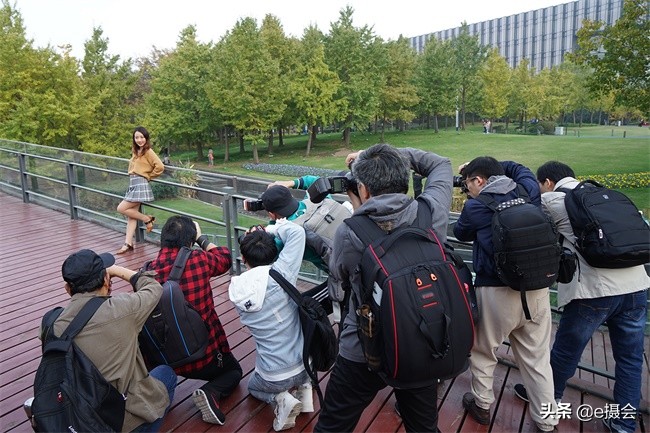 世博公园银杏林摄影照片,上海世博公园银杏最佳摄影机位