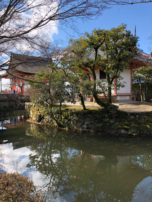 不会日语的日本自由行攻略,不会日语在日本怎么玩