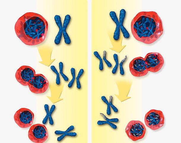 生物基础知识从零开始课程,生物学习入门