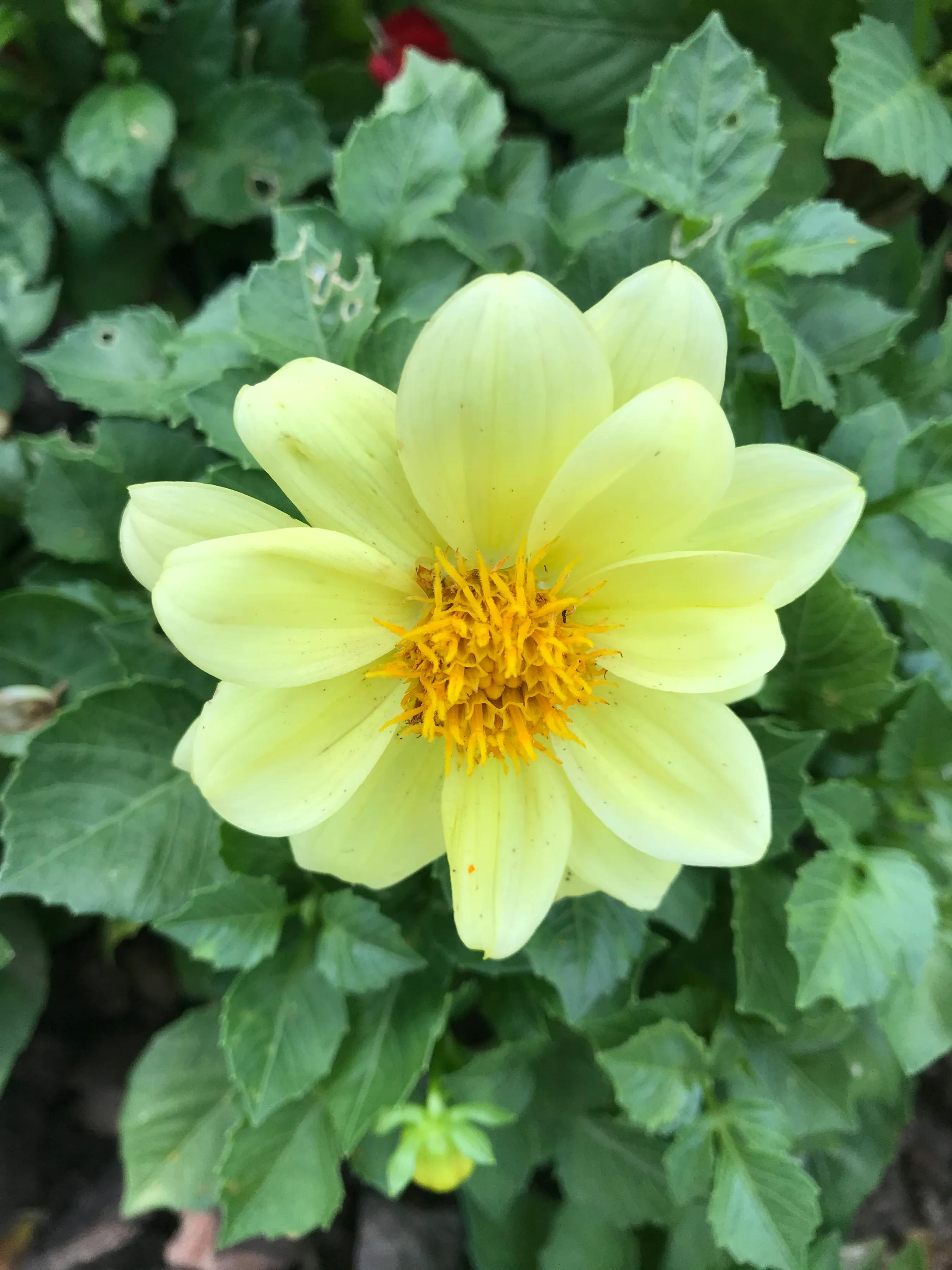 当陷入两难的境地该如何抉择,当陷入两难抉择的时候该怎么办