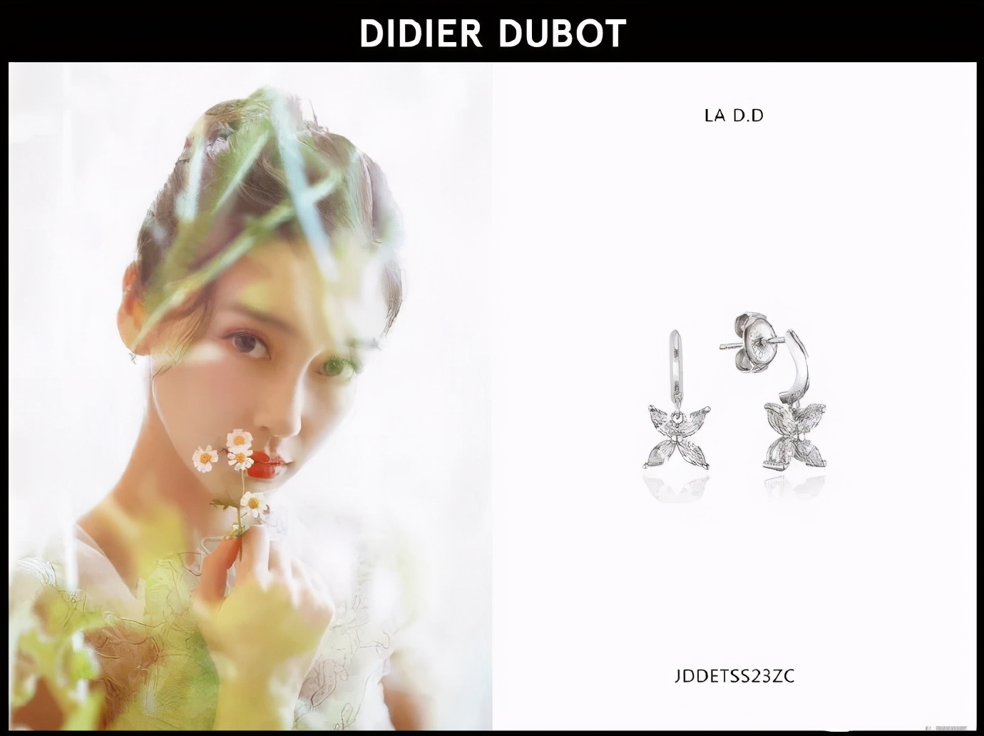 扒一扒，为什么说蒂蒂朵宝占了娱乐圈“半壁江山”