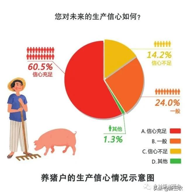 生猪养殖户目前养殖情况,中规模养殖生猪养殖成本分析