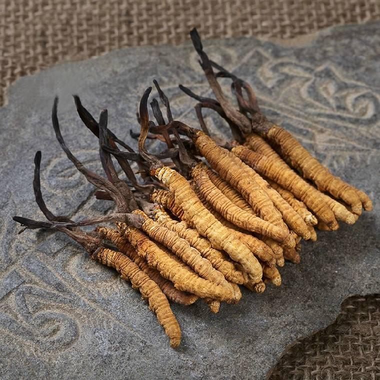 冬虫夏草被踢出了保健品名录,国家食药监局澄清冬虫夏草