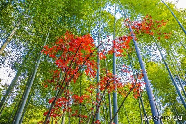天目湖加南山竹海哪里泡温泉好,天目湖度假秘境享受绝美自然山水