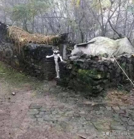 那些让你笑出眼泪的搞笑图片,50张搞笑图片总有一张能逗笑你