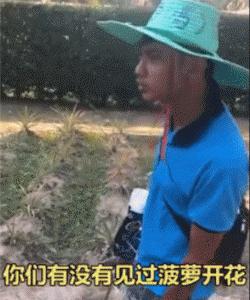 导游走丢了,导游遇见客人走丢了怎么做