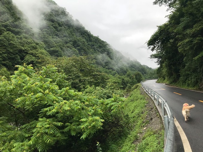 成都喇叭河自驾,自贡到喇叭河自驾