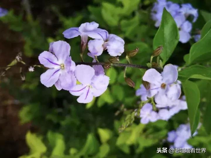 最容易被误解的8个文史常识,经常被误解的文史常识