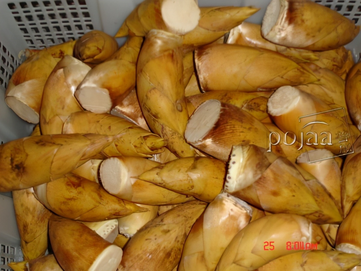 粤北重镇南雄,粤北重镇南雄街景图