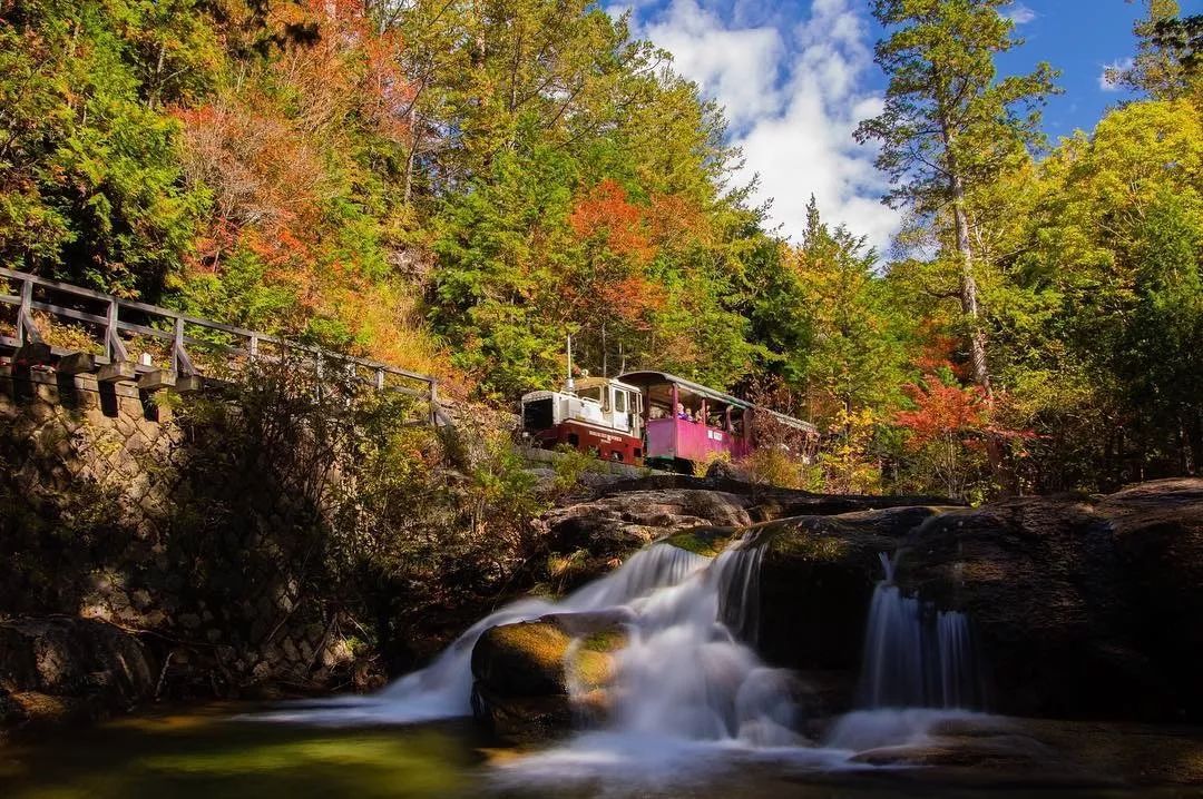 日本长野县旅行,日本长野赏樱旅游攻略