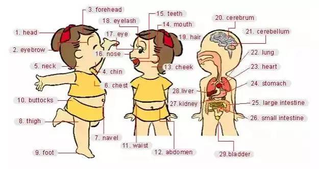 启蒙英语听力1000词汇,英语听力入门3000听力词汇