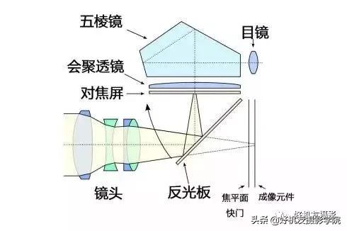 新手入门单反微单推荐,选单反相机还是微单相机好