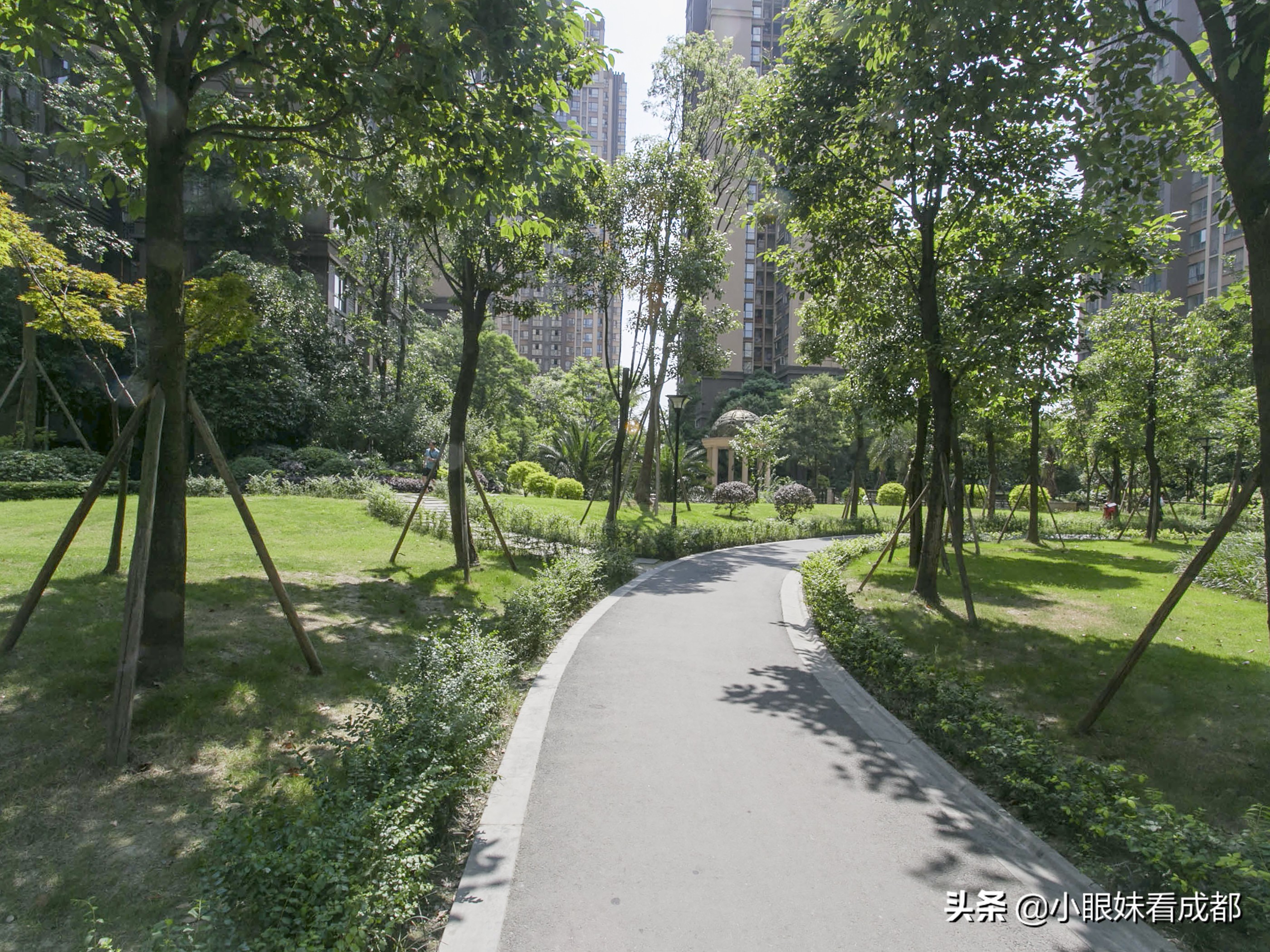 成都离地铁近的新盘,成华区新盘取证