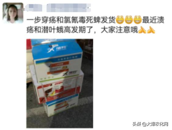 全面替代铜制剂！新一代“击溃爆品”！不伤花果！防治率高达96%