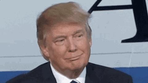 分析海地总统被刺原因,海地总统遇刺前求助苦等10分钟