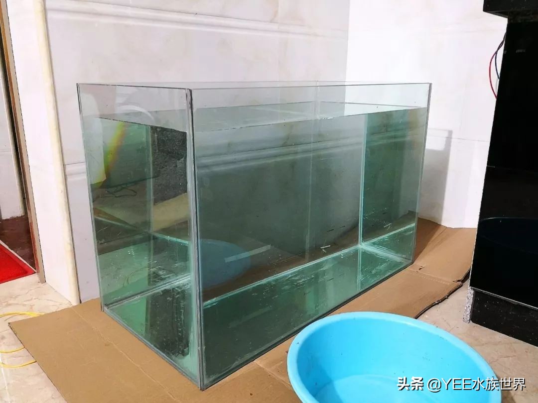 鱼缸专用胶哪种最好,鱼缸胶是什么类型的胶水