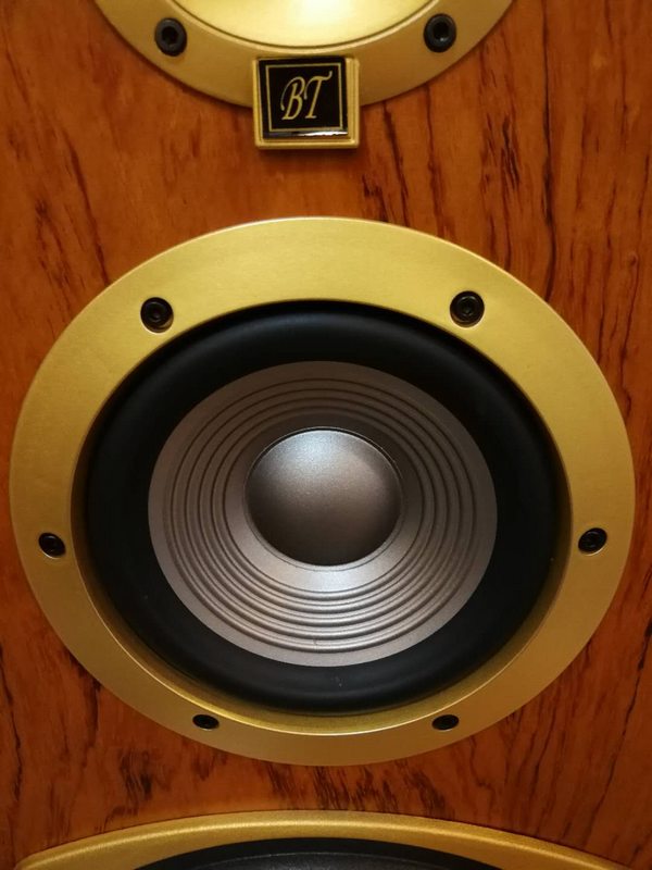 人类音响,人类音箱