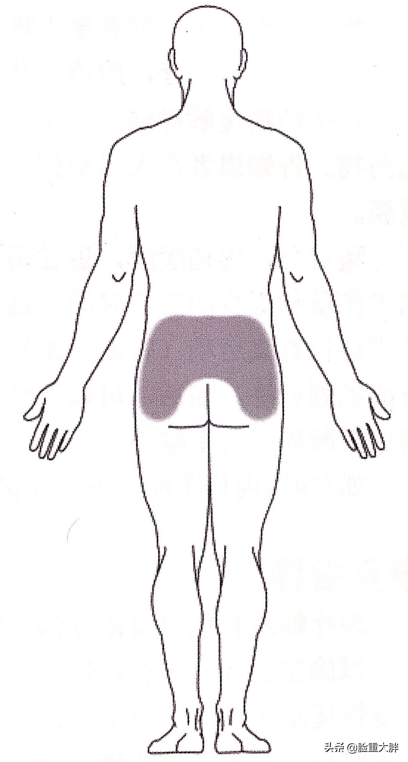 腰痛却没时间去理疗？学会这四招，在家也能缓解急性腰痛