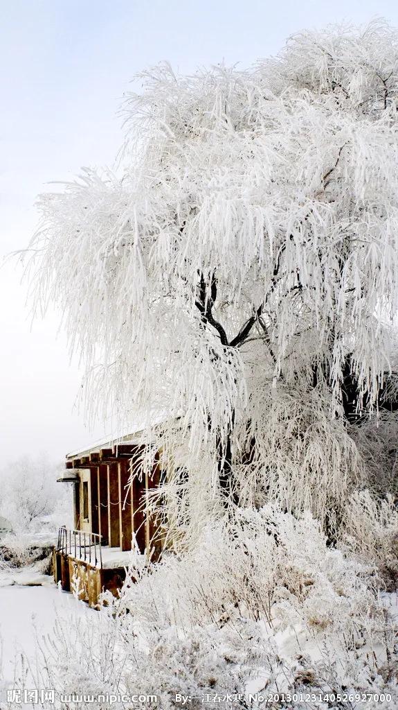 物态变化与凝华现象,凝华升华六种物态的变化过程