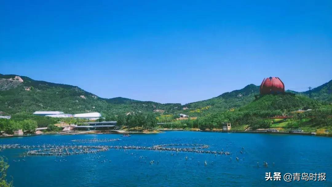 山东问政世博园问题,青岛世博园最失败投资