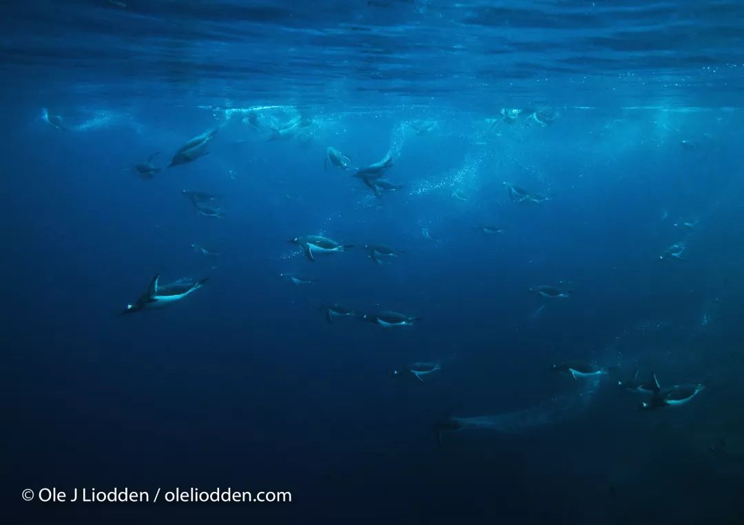 汇率起起伏伏，自然旅行跟着这张表格走，最划算